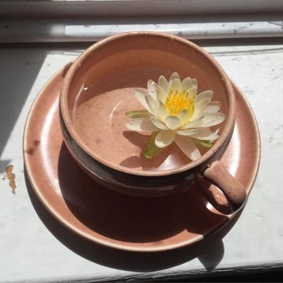 OnlyGoodPlayer's profile picture. MDNI 18+