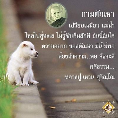 mE3r3rVil5gIHoX's profile picture. 