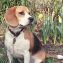 Maddie Thomas - @maddiemoon13 - Twitter