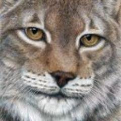 hscm76's profile picture. 