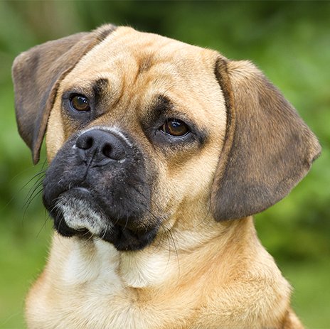 BellaLCSP's profile picture. 