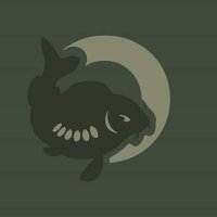 Cherry Carp (@solarcarp) 's Twitter Profile