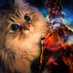 Highwaycat83 (@highwaycat83) Twitter profile photo Highwaycat83 (@highwaycat83) Twitter profile photo