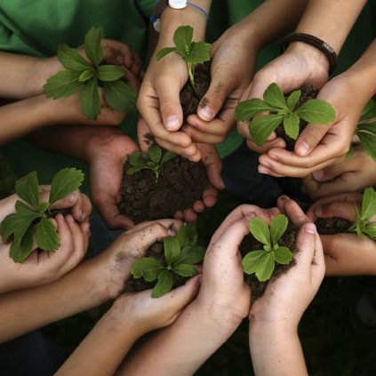 Are your fingers clean instead of green? Use these tips and resources and you'll be able to enter the Chelsea Flower Show in no time!!