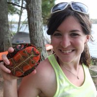 Dr. Beth Reinke (@ba_reinke) 's Twitter Profile Photo