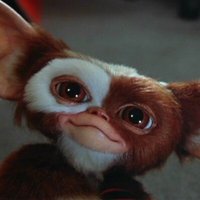 Matt (@bazzygee) 's Twitter Profile