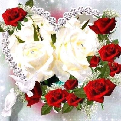 صديق ورفيق واخ