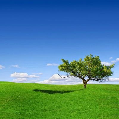 Dont_be_sad__'s profile picture. إذا طال ثوب الإيمان ستر الجسد .