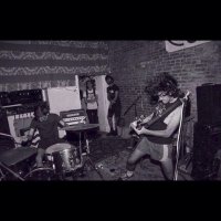 Trust Fall (@trustfallva) Twitter profile photo