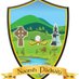 St. Pats Ladies LGFC (@stpatsladiesgaa) Twitter profile photo St. Pats Ladies LGFC (@stpatsladiesgaa) Twitter profile photo