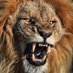 clyons (@clyons1975dfs) Twitter profile photo clyons (@clyons1975dfs) Twitter profile photo