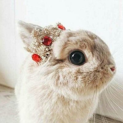 004_sa012's profile picture. ‏‏اللَّهُمَّ انت أَعْلَمُ بِمَا في قلبي فحققُه لي 💙