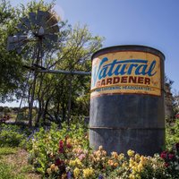 The Natural Gardener (@thengaustin) 's Twitter Profile