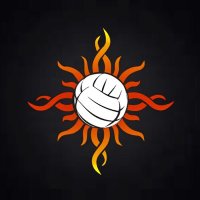 Texas Image Volleyball (@tximg) Twitter profile photo