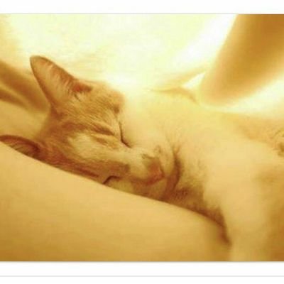 るなさんのプロフィール画像