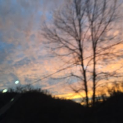 ndougb's profile picture. 