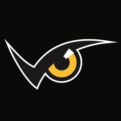 Official Account of Night Owl at Kennesaw State University. Night Owl is a student-led organization dedicated to managing all events at KSU across both campuses