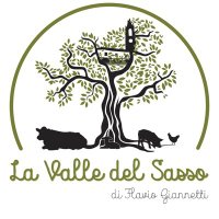 Valle Del Sasso(@valledelsasso) 's Twitter Profile Photo