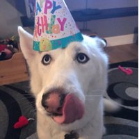 Lorna Hamilton (@loren_hamilton) 's Twitter Profile