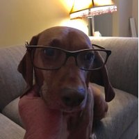 Dave (@daveoscar) 's Twitter Profile