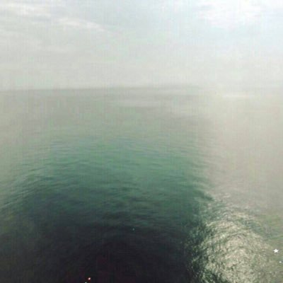 tatsumi1005's profile picture. 