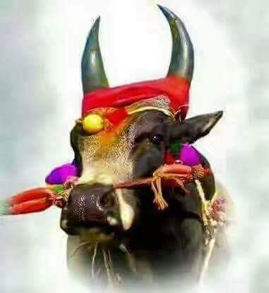 ZYzGTQsixLvq6kM's profile picture. வாழ்க்கை வாழ்வதற்கே