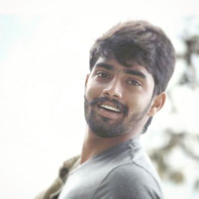 LokiKolla's profile picture. Architect