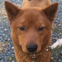 くざん (@gmc4ivgwtdaylwt) 's Twitter Profile