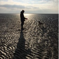 Paul Rigby (@paulrigby1) 's Twitter Profile