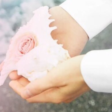 セブチ専門日本共同購入 세븐틴 전문 일본 그룹 오더 리더 입니다. 번역기를 사용해서 대화를 하고 있습니다. I’m
