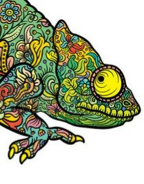 satellite9101's profile picture. 監視体制