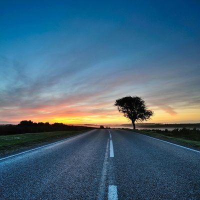 SabariR50315327's profile picture. 🌹