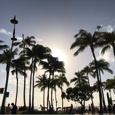 189haru's profile picture. ましゃ大好き！ずっとずっとファン（≧∇≦） ハワイも大好き ♡阪神タイガース応援してます。高校野球も大好き！