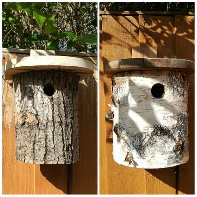 Tales from the nestbox.