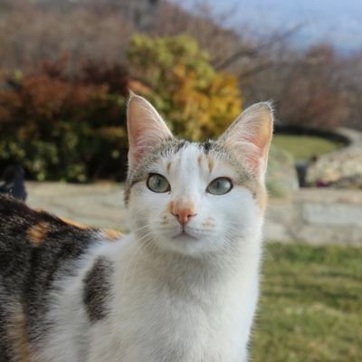 Pensa più a sorridere e a vivere . Fatti meno problemi tanto nessuno se li farà per te