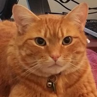UVXYTrader (@michaellistman) 's Twitter Profile