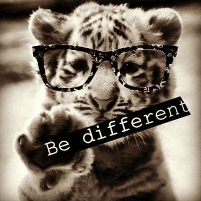 martinita_bxa's profile picture. Me encanta la música es mi pasión 🎵