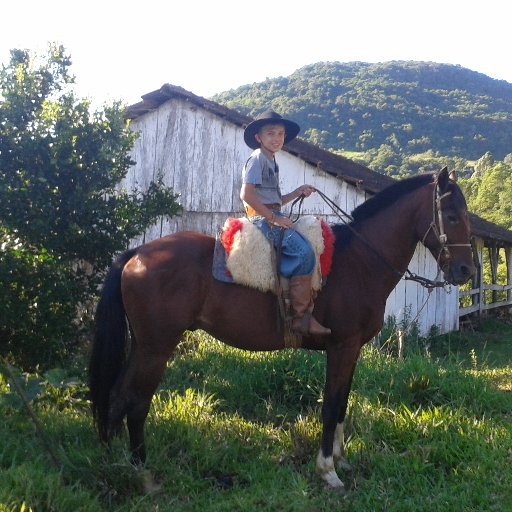 Gosto de cavalos, 14 anos, Gremista...