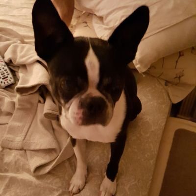 CBaronofsky's profile picture. 