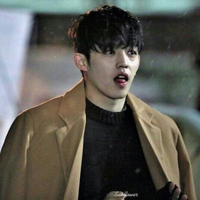 s_coups_svt's profile picture. 