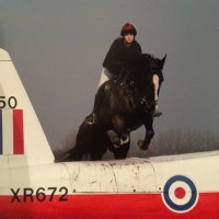 Alison Dann (@alison_dann) 's Twitter Profile