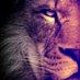 Hamza (@06hamza1990) Twitter profile photo Hamza (@06hamza1990) Twitter profile photo