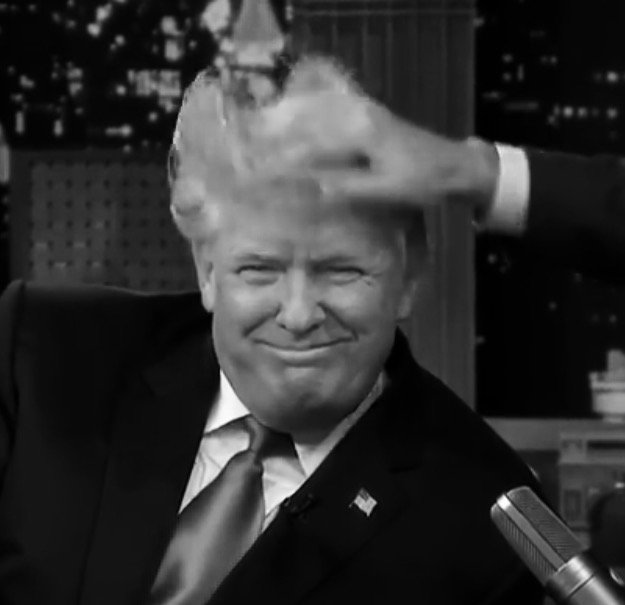 snowdonaldtrump's profile picture. Frisco-based sceptic without the slaughtest sense of humour. #fbr