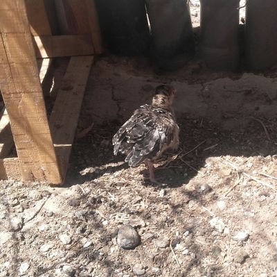 yanina_arzan's profile picture. Dios es grande