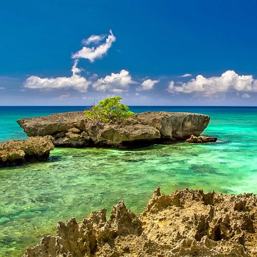 kuttysivamoorth's profile picture. 