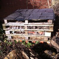 @gosforthbughotel (@gosforthbughot1) 's Twitter Profile Photo