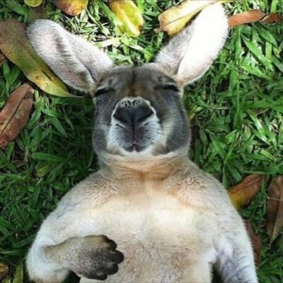 CP3RRR's profile picture. tō daeg...let it be clear...ohana