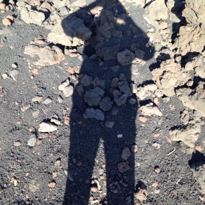 FalconeGiona's profile picture. Sono stronzo al punto giusto