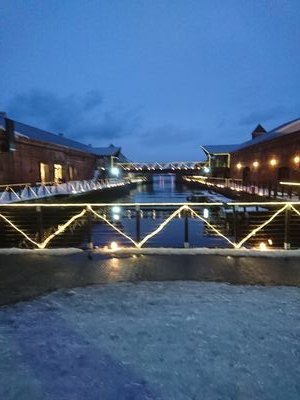 mametotoro48nh's profile picture. 📸🎾⚽️⚾️🛩️🥩👧　にこり♥