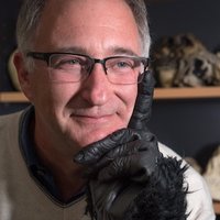 Greg Downey (@gregdowney1) 's Twitter Profile Photo Greg Downey (@gregdowney1) 's Twitter Profile Photo